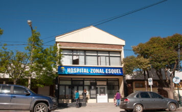 Hantavirus: desde el área de Epidemiología aclaran que la incidencia de casos está en los valores habituales