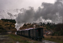 “La Trochita” confirmó las salidas para el primer mes del 2026