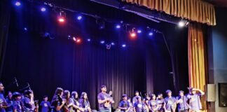 Convocatoria docente para la Orquesta Municipal Pu Pichikeche