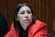 Sánchez Albornoz sobre el pliego del Cementerio: “Casi no hubo discusión en comisión”