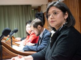 Chamorro consideró que el tratamiento por la cesión de tierras del Parque Industrial en el HCD no es claro