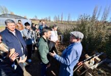 “En Chubut estamos cambiando asistencialismo por capacitación y nuevos emprendimientos”, destacó Torres