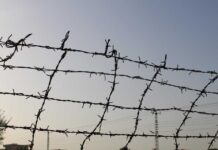 Fue condenado a prisión en suspenso, cometió un nuevo delito y deberá cumplir la condena completa en prisión