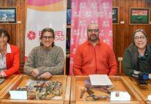 Todo listo para una nueva edición de la Fiesta de los Ciruelos en Flor