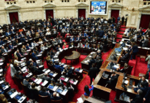 Diputados rechazaron los vetos a las leyes de financiamiento universitario y emergencia pediátrica