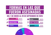 Preocupante: 195 femicidios en lo que va del año