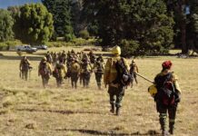 Advierten que en Parques Nacionales se perdieron “5 brigadistas por mes” desde el año pasado