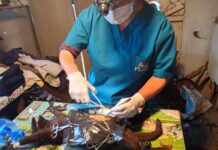 Fauna Urbana realizó una jornada de castraciones en la Planta de Residuos