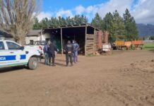 La Fiscalía investiga un hurto agravado en El Maitén