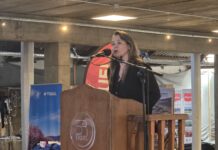 Mirantes apuntó contra Nación por la barrera sanitaria: “Una vez más están demostrando el gran desconocimiento que tienen de las provincias patagónicas”