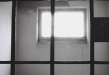 Irá a la cárcel porque encubrió, robó, desobedeció y agredió