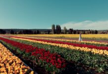 Chubut invita a disfrutar el fin de semana largo con múltiples propuestas y destinos