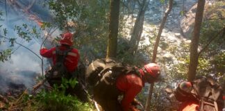 El incendio en El Pedregoso está contenido en un 100%