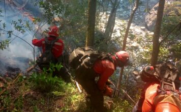 El incendio en El Pedregoso está contenido en un 100%