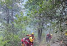 Continúa el amplio despliegue para controlar el incendio en El Pedregoso
