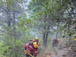 Continúa el amplio despliegue para controlar el incendio en El Pedregoso