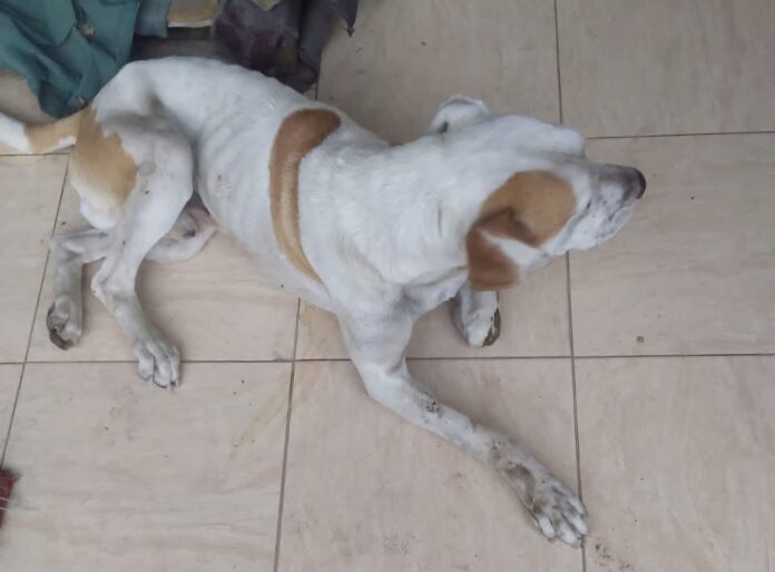 FB_IMG_1763159724301