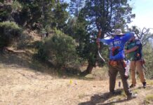 Arqueros de todo el país llegan a Trevelin para participar en la Final Nacional 3D