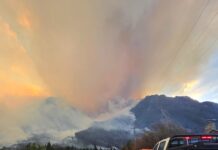 Después de tres días de intenso operativo, se contuvo el incendio en El Pedregoso