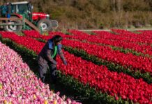Primavera en Trevelin: Figueroa trazó un balance “positivo”