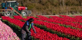 Primavera en Trevelin: Figueroa trazó un balance “positivo”