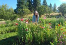 “Bryn Derwydd”, una experiencia mágica entre flores, música celta y mitología galesa