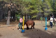 “Yo creo en mi”, un espacio donde los adolescentes fortalecen la confianza