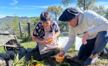 Sierra Colorada: La gastronomía ancestral como producto turístico