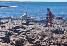 Continúa la búsqueda de la pareja desaparecida en cercanías de Comodoro Rivadavia