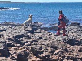 Continúa la búsqueda de la pareja desaparecida en cercanías de Comodoro Rivadavia