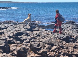 Continúa la búsqueda de la pareja desaparecida en cercanías de Comodoro Rivadavia