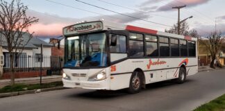 Sin actualización de tarifas, peligra el servicio de transporte urbano en la ciudad