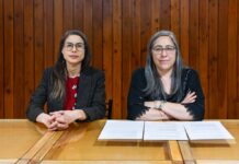 Fin de semana con cine, danza, música y distintas propuestas culturales