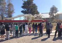 Una experiencia inolvidable: estudiantes de la Escuela 210 recorrieron diferentes atractivos de la costa chubutense