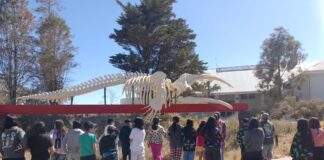 Una experiencia inolvidable: estudiantes de la Escuela 210 recorrieron diferentes atractivos de la costa chubutense