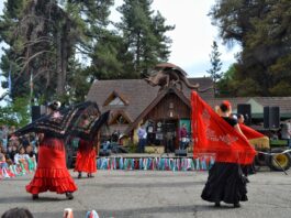 Trevelin celebró la quinta edición de la Fiesta de los Tulipanes