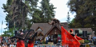 Trevelin celebró la quinta edición de la Fiesta de los Tulipanes