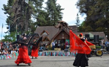 Trevelin celebró la quinta edición de la Fiesta de los Tulipanes