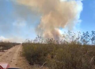 Intensifican operativo para combatir incendios de campos en inmediaciones a Trelew