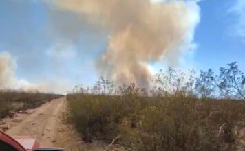 Intensifican operativo para combatir incendios de campos en inmediaciones a Trelew
