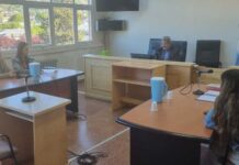 Deberá cumplir 60 horas de trabajo comunitario por caso de maltrato animal