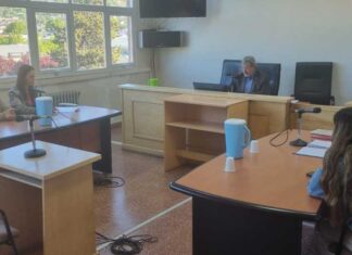 Deberá cumplir 60 horas de trabajo comunitario por caso de maltrato animal