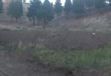 El municipio desalojó una ocupación ilegal en el camino al Cerro La Cruz