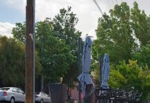 Habilitan línea para reportar emergencias y caída de ramas