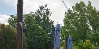 Habilitan línea para reportar emergencias y caída de ramas