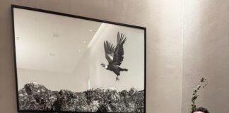 “En esta nueva etapa de la gestión buscamos que se profundice el trabajo en territorio”, dijo Torres tras reunirse con intendentes