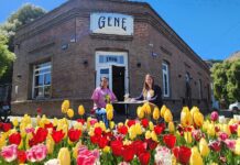 Temporada de tulipanes: la ocupación en Esquel durante octubre fue del 83%