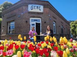 Temporada de tulipanes: la ocupación en Esquel durante octubre fue del 83%