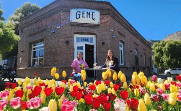 Temporada de tulipanes: la ocupación en Esquel durante octubre fue del 83%