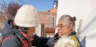 Detectaron tres casos de rabia en Chubut y refuerzan las medidas preventivas